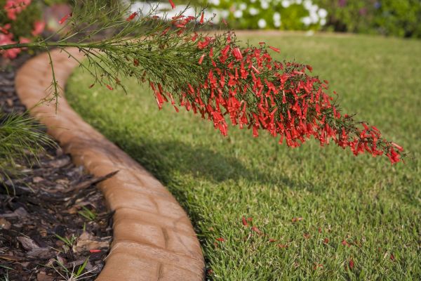 Brick Edging in Powell