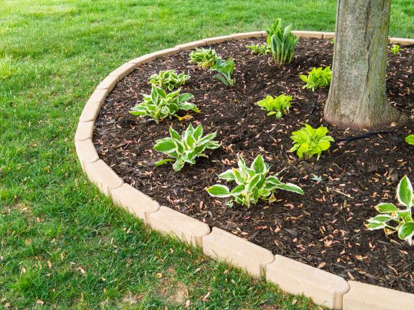 Stone Border Installation in Powell