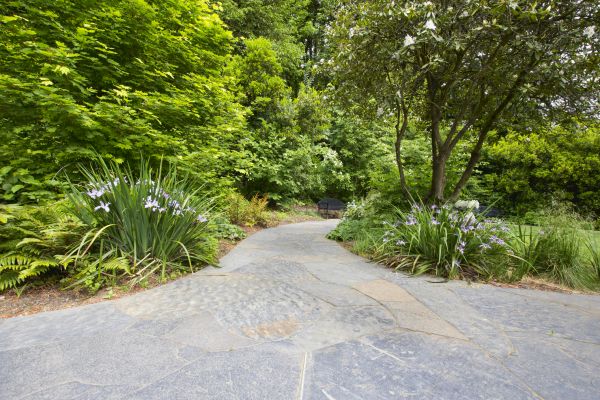 Stone Hardscape Service in Powell