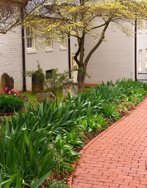 Brick Flatwork Repair in Powell